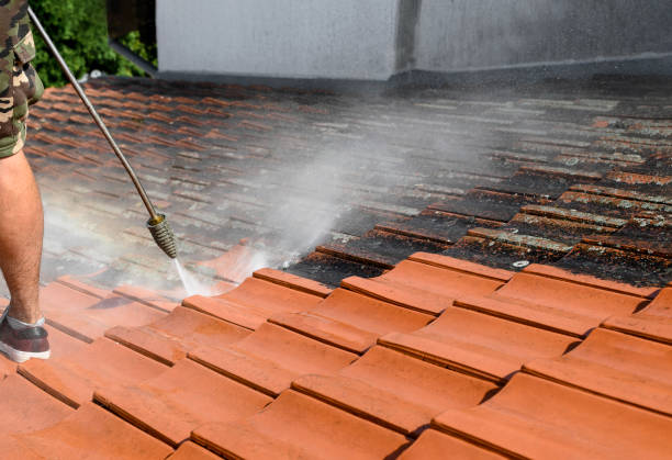  Blue Island, IL Pressure Washing Pros